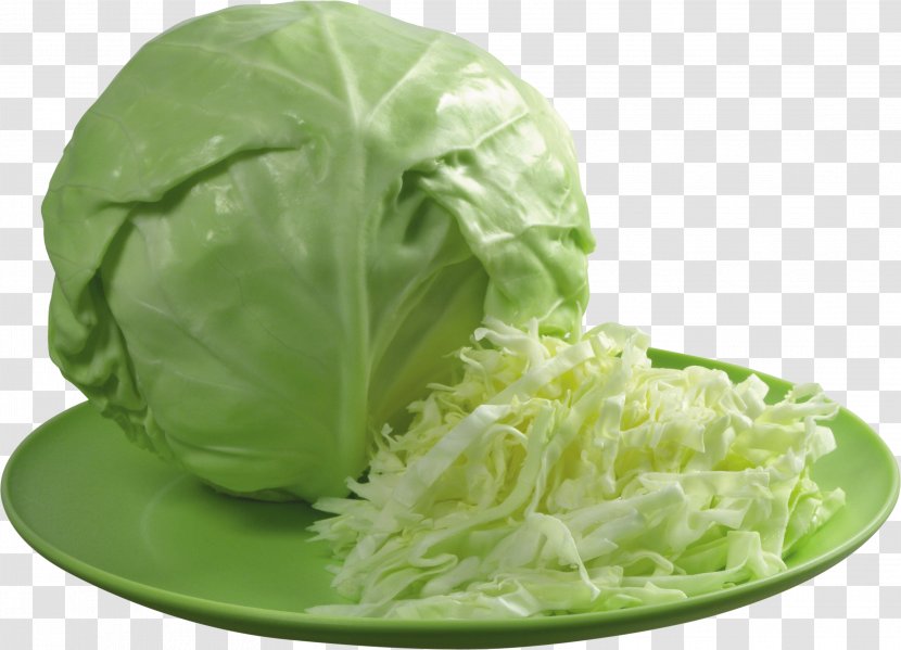 Cabbage Cauliflower Kapusta Kiszona Duszona Vegetable Sauerkraut - Dill Transparent PNG