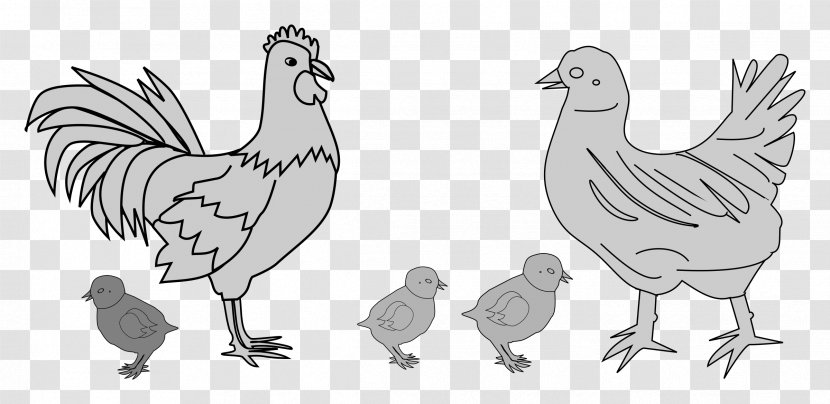 Chicken Poultry Vector Graphics Image Bauernhof - Tail Transparent PNG