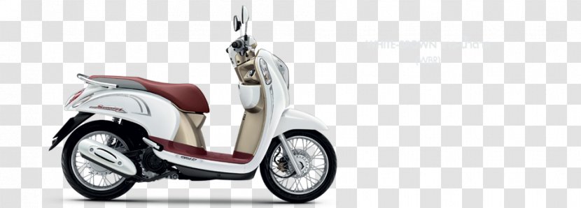 Honda Scoopy Scooter Motorcycle CHF50 - Electric Motorcycles And Scooters Transparent PNG