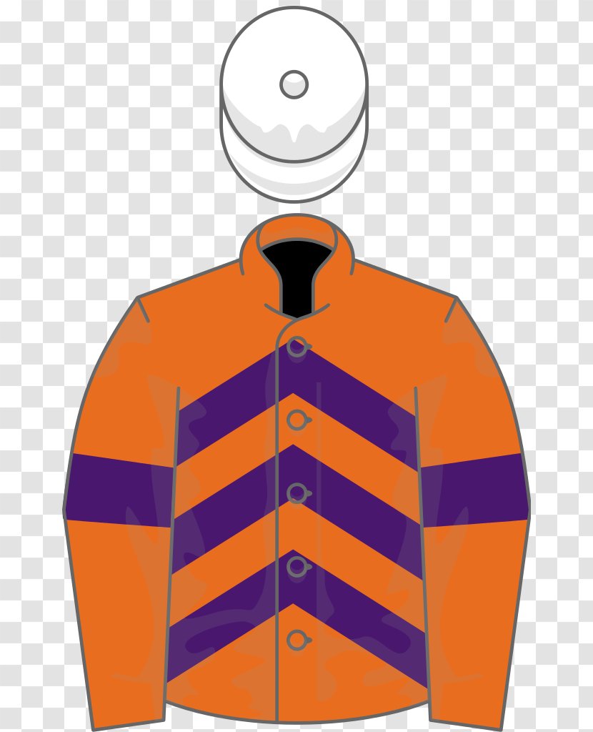 Ascot Gold Cup Horse Racing Information - Diagram - Owner Transparent PNG