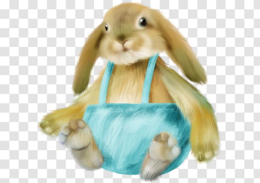 Easter Bunny Hare Domestic Rabbit The Country And Little Gold Shoes - Photography - Watercolor Transparent PNG