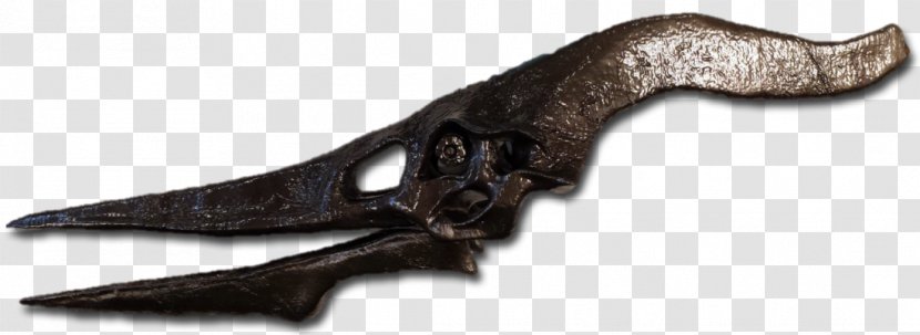 Ranged Weapon Animal - Figure - Late Cretaceous Transparent PNG