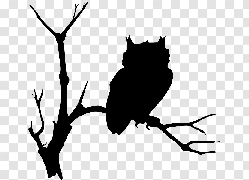 Barn Owl Drawing Clip Art - Free Content - Tree Outline Transparent PNG