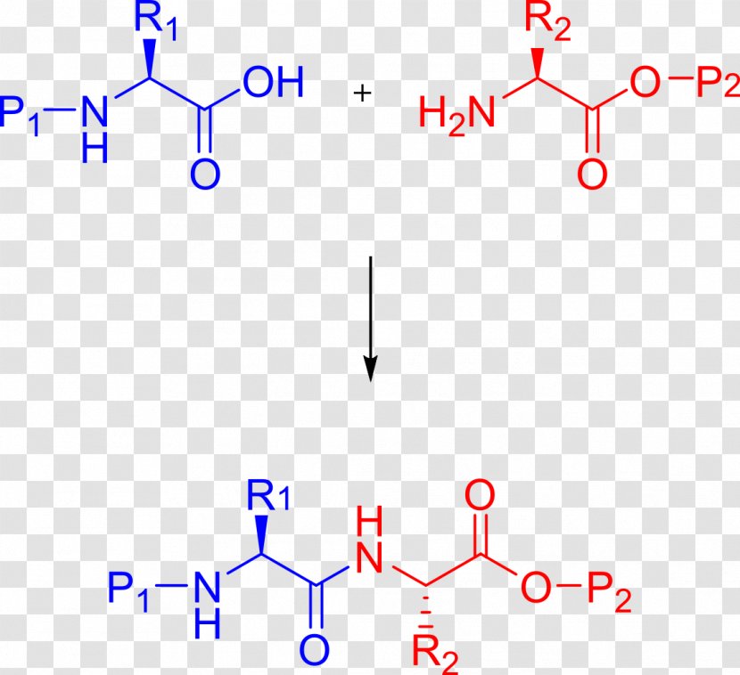 Peptide Synthesis Chemical Merrifield-Synthese Chemistry - Amine Transparent PNG