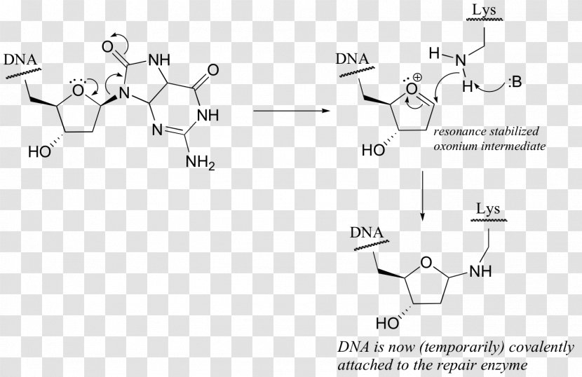 Francium Atom Diagram Technology - Parallel - Art Of Writing Reasonable Organic Reaction Mechani Transparent PNG