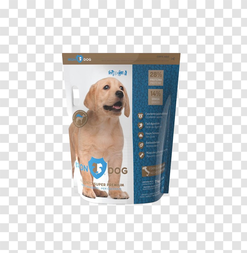 Golden Retriever Puppy Dog Breed Companion Food Transparent PNG