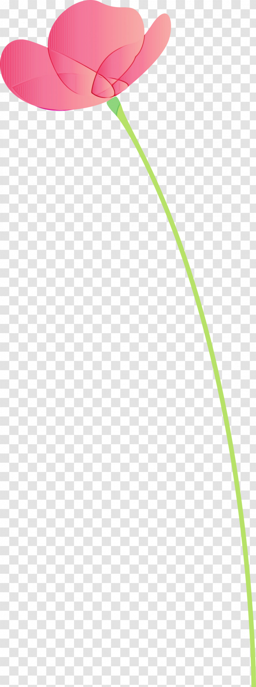 Green Line Grass Family Plant Grass Transparent PNG