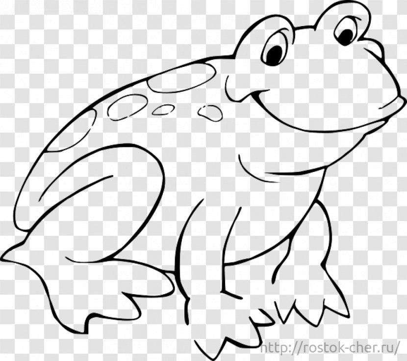 Tree Frog Coloring Book Child Clip Art - Heart Transparent PNG