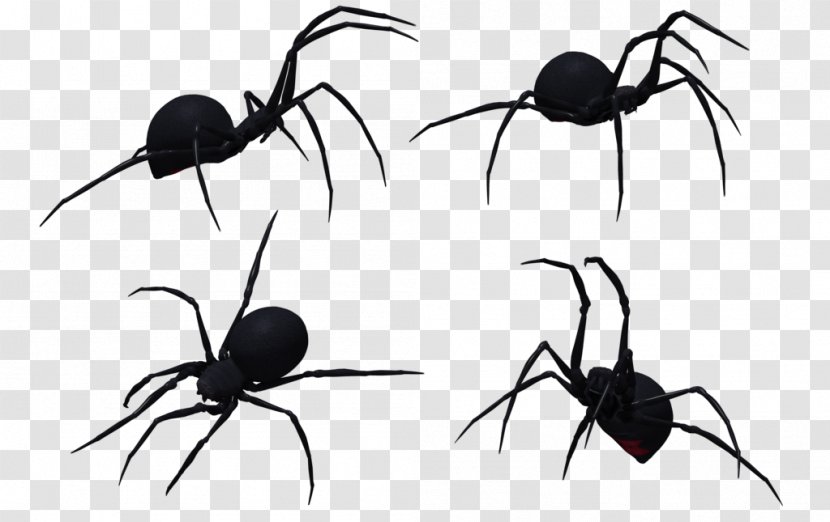 Widow Spiders Spider Web Clip Art - Deviantart Transparent PNG