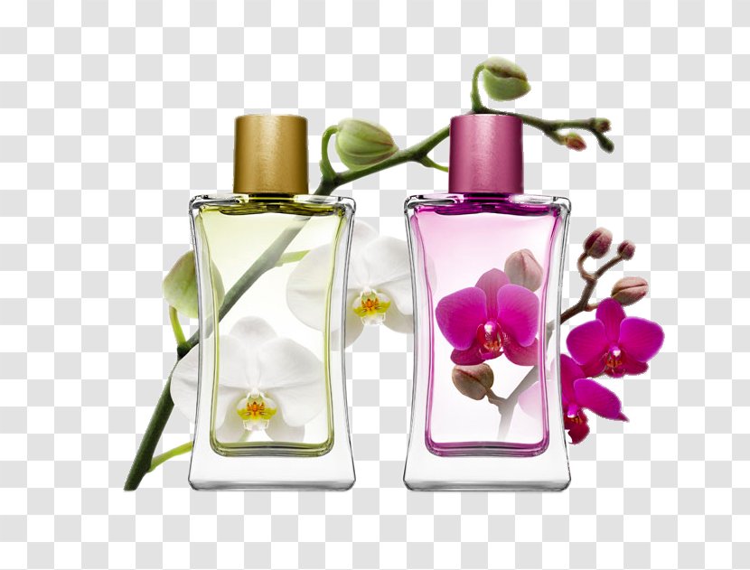 Perfumer Eau De Toilette IPRA Fragrances Aroma Compound - Bottle - High Fragrance Transparent PNG