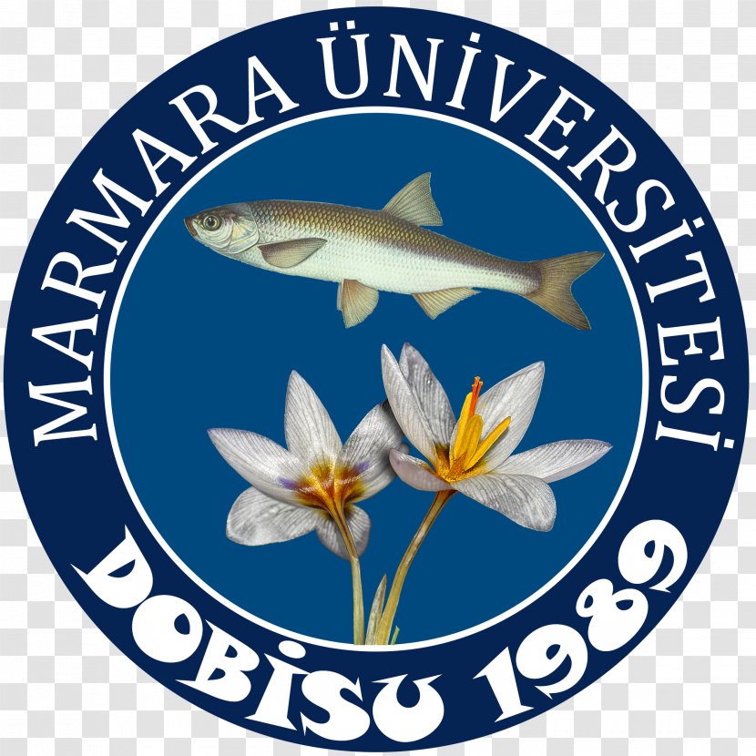 Marmara University Research Fish Nature - Plants Transparent PNG