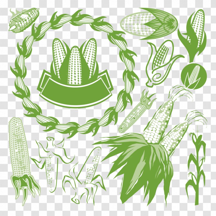 Corn On The Cob Maize Royalty-free Clip Art - Ear Transparent PNG