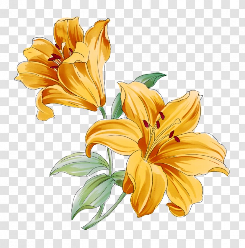 Lilium Flower Watercolor Painting Drawing - Orange - Secret Garden Wind Transparent PNG
