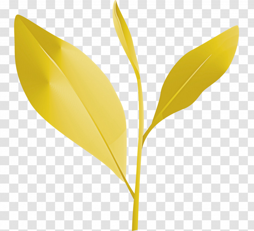 Tea Leaves Leaf Spring Transparent PNG