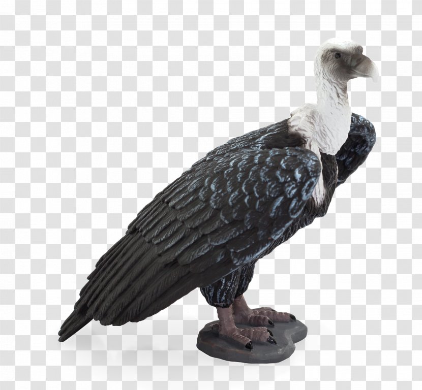 Griffon Vulture Turkey Amazon.com White-rumped - Toy Transparent PNG