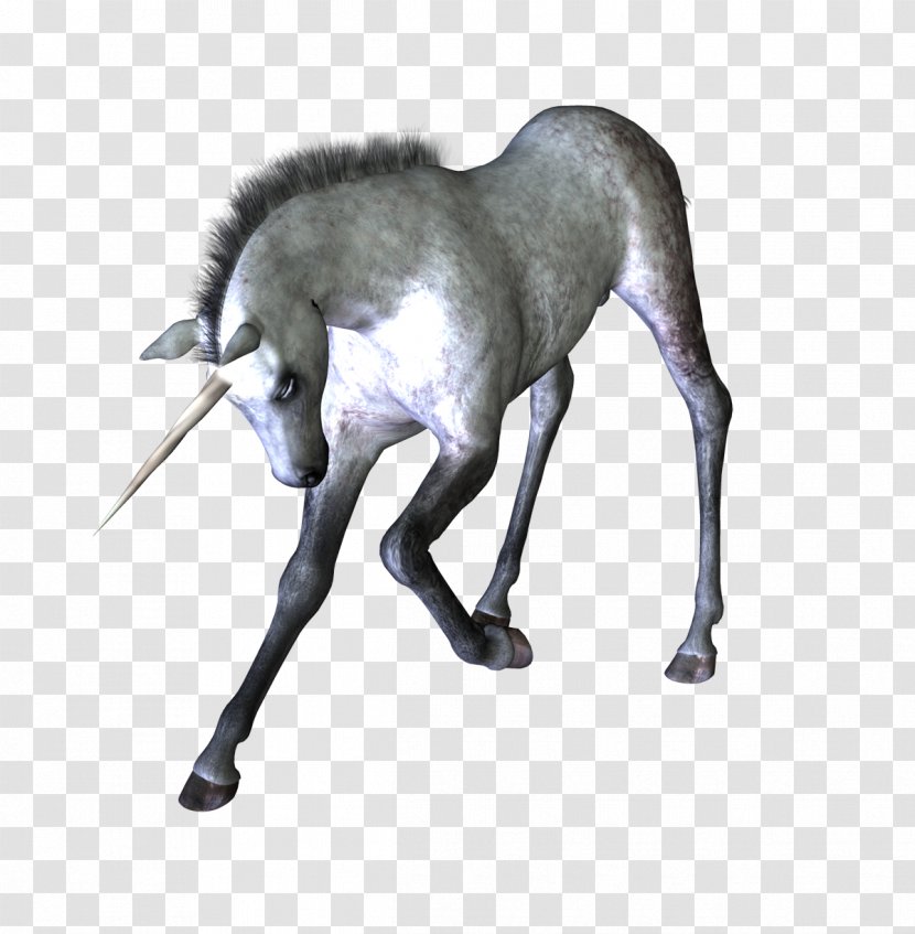 Unicorn Horse Legendary Creature Brush - Horn - Unicornio Transparent PNG