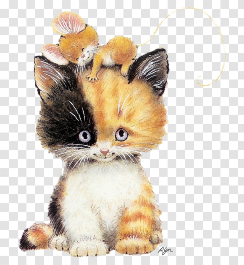 Kitten Computer Mouse Cat And Calico Persian - Cuteness Transparent PNG