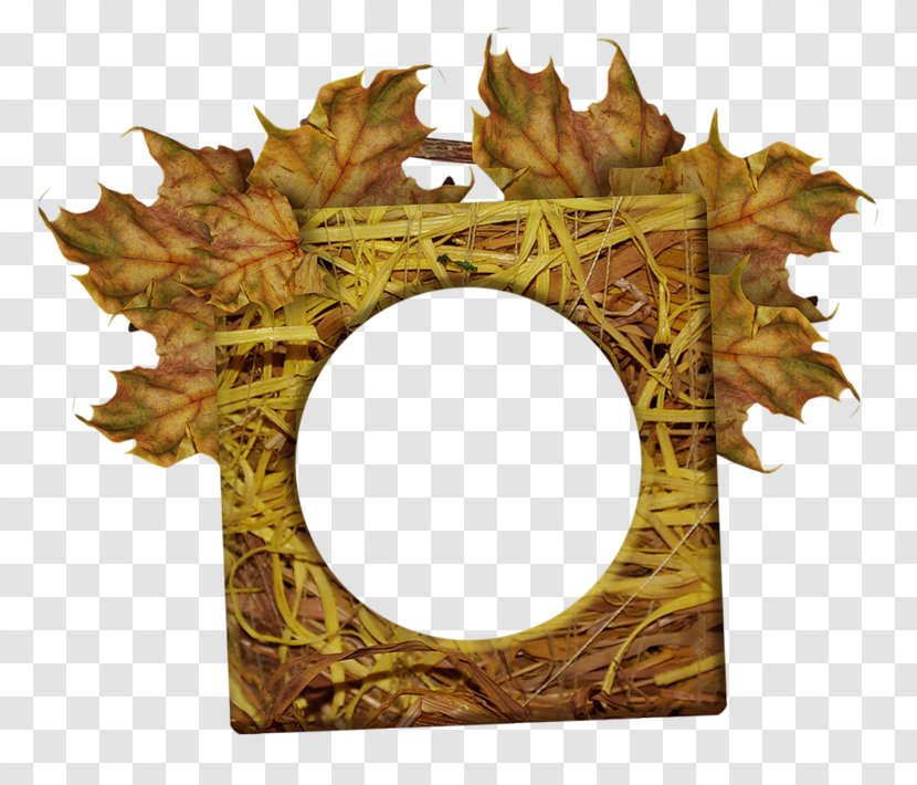 Picture Frames Autumn Season Image Ornament - Blog Transparent PNG