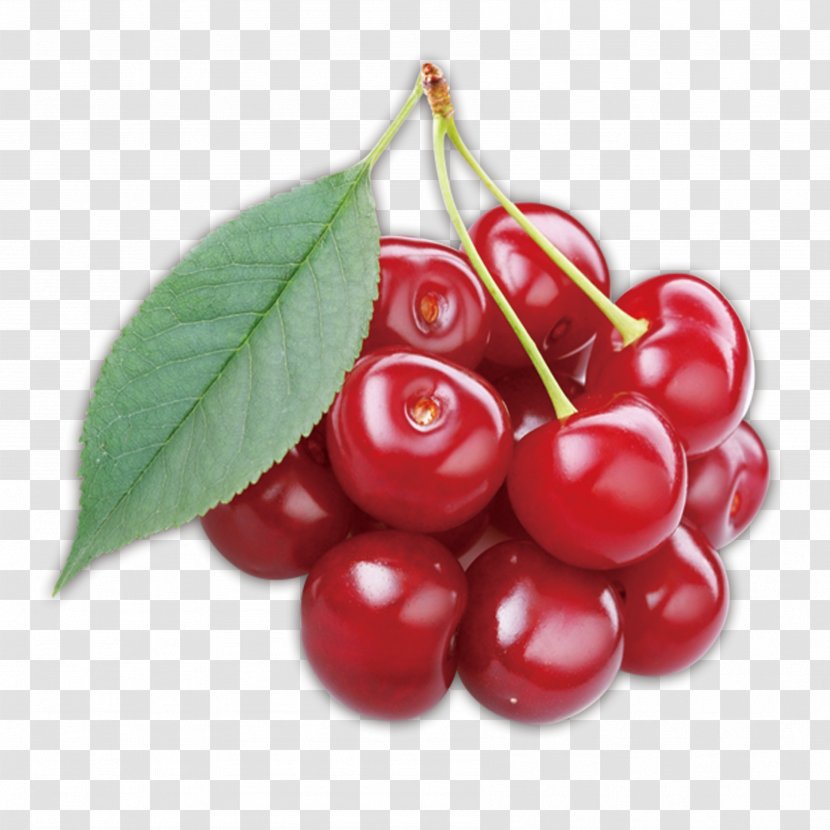 Cherry Lingonberry Auglis Cancer Transparent PNG