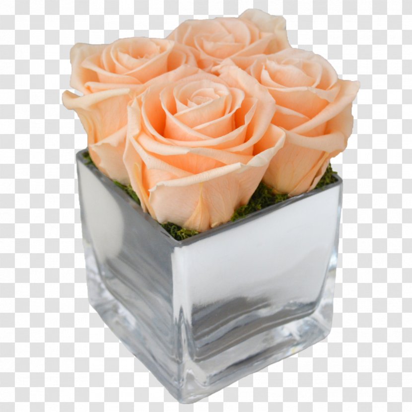 Garden Roses Cut Flowers Four - Cream - Mint Julep Transparent PNG