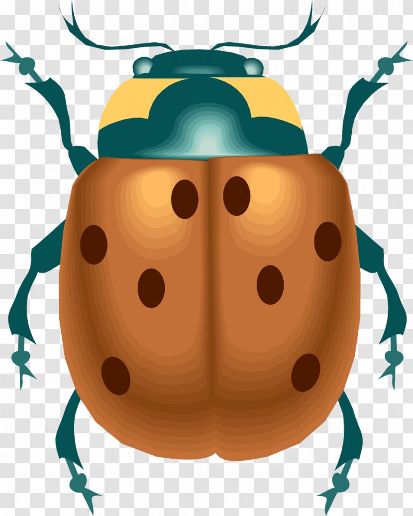 ECOPEST ENVIRONMENTAL CONSULTANCY Ladybird Pest Control Clip Art - Beetle Transparent PNG