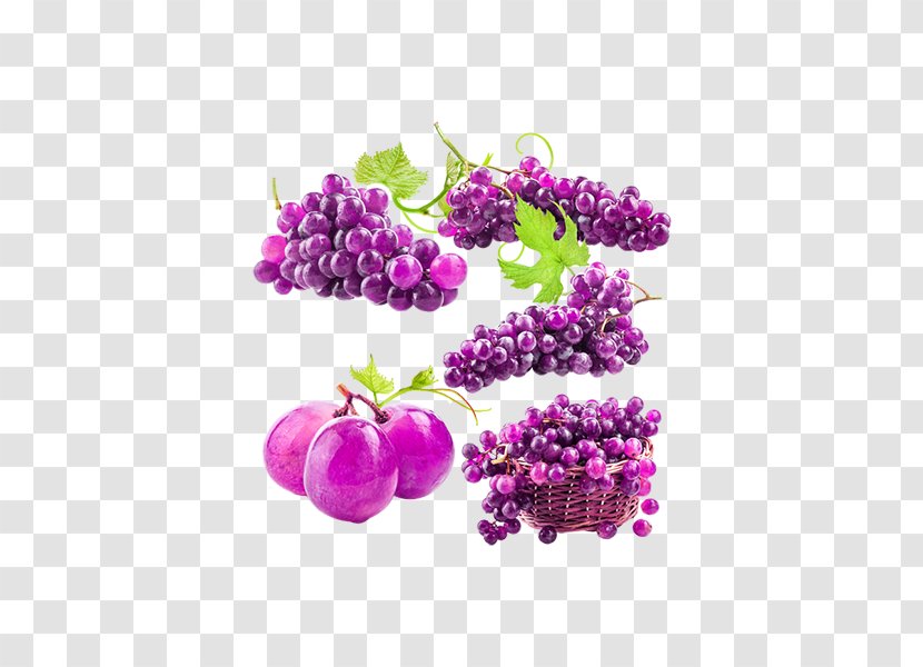 Kyoho Juice Wine Grape Auglis - Berry - Purple Fruit Transparent PNG