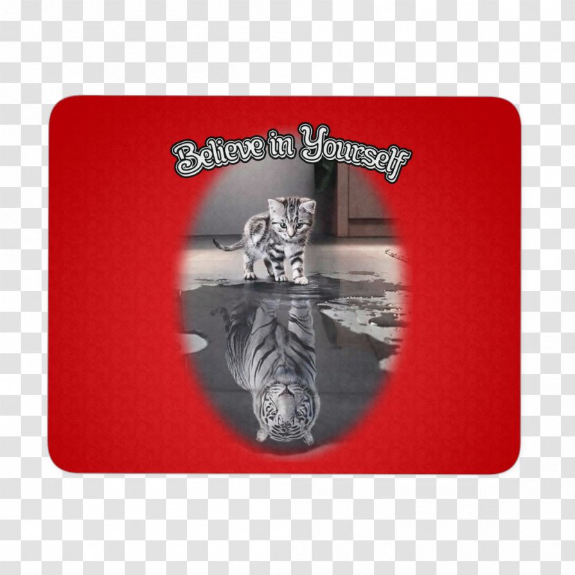 Tiger Kitten British Shorthair Maine Coon Cuteness - Label - Believe In Yourself Transparent PNG