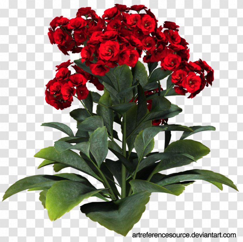 Cut Flowers Garden Roses - Red Flower Transparent PNG