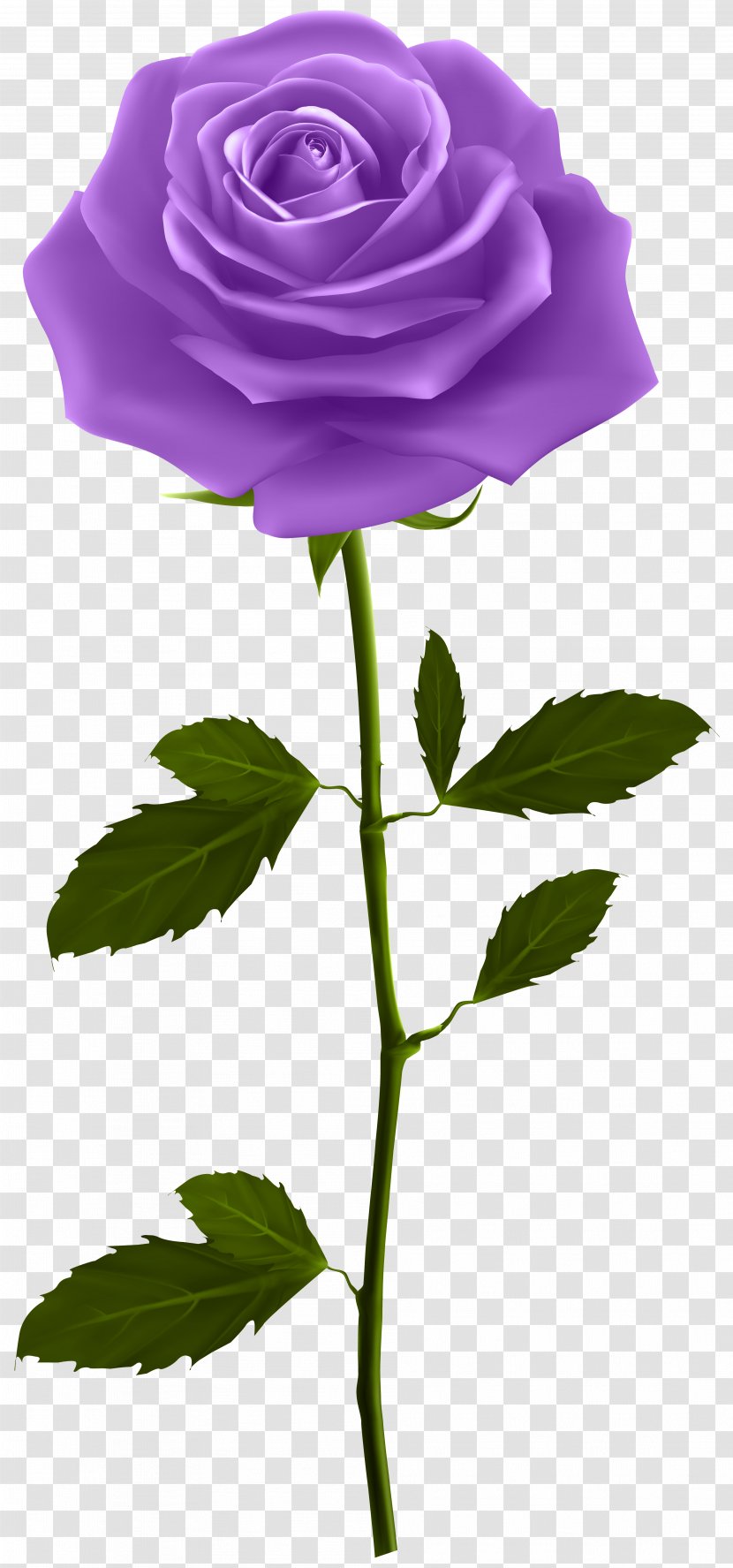 Rose Clip Art - Flower - Purple With Stem Image Transparent PNG