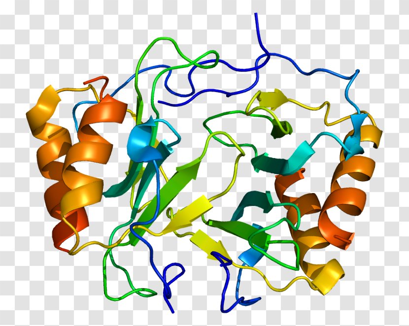 Platelet Factor 4 Chemokine Cytokine Beta-thromboglobulin - Structure - Cxcl1 Transparent PNG