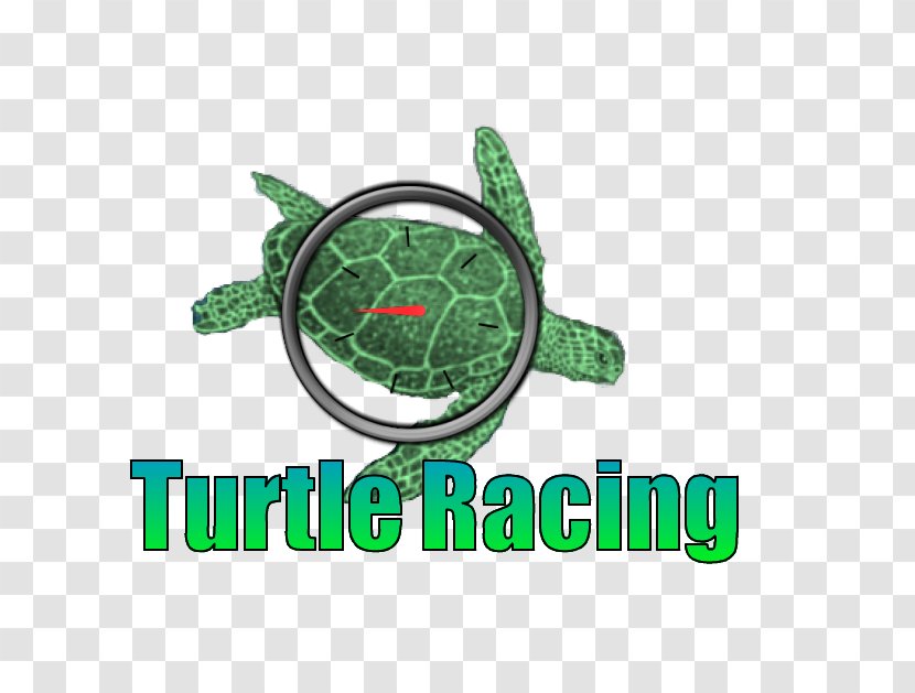 Turtle Logo Brand Green - Car Racing Flyer Transparent PNG