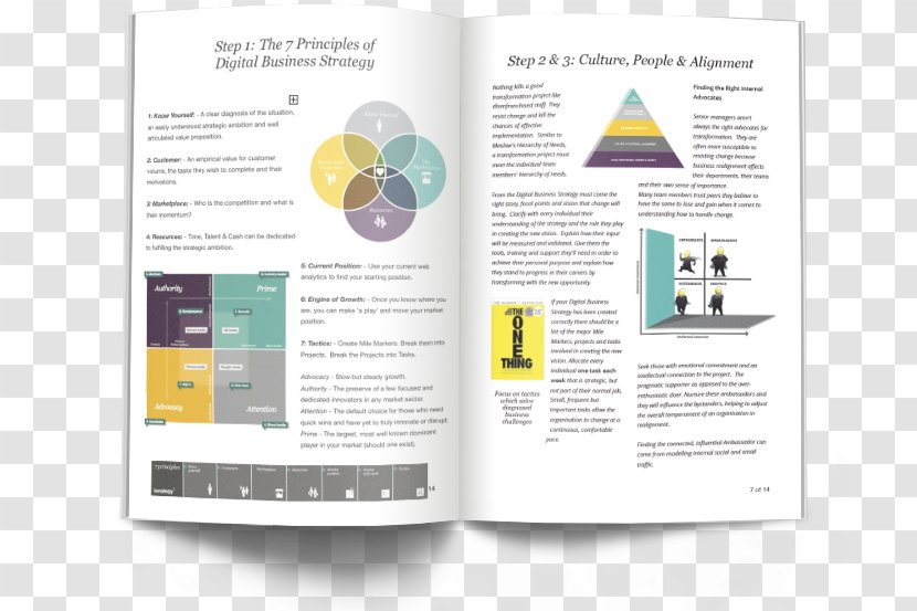 Brand Brochure - Step Directory Transparent PNG