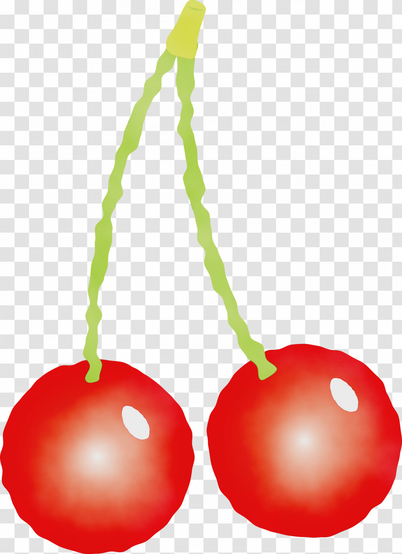 Cherry Fruit Plant Drupe Transparent PNG