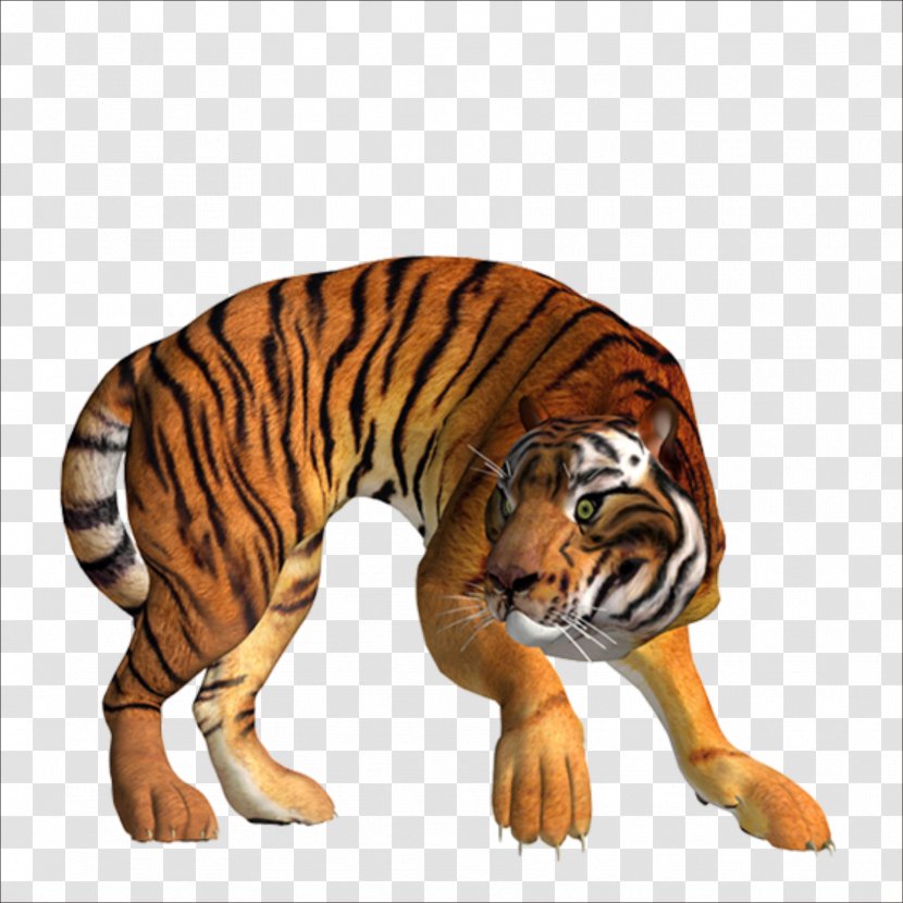 Tiger Clip Art - Digital Image Transparent PNG
