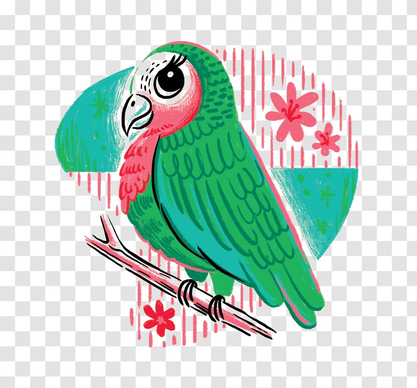 Parrot Bird Drawing Illustration - Fauna - Painted Creative Transparent PNG