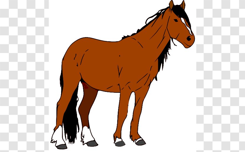 Mustang American Quarter Horse Foal Clip Art - Animal Figure - Cliparts Transparent PNG