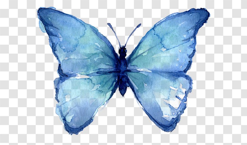 Canvas Print Butterfly Watercolor Painting Art - Lycaenid Transparent PNG
