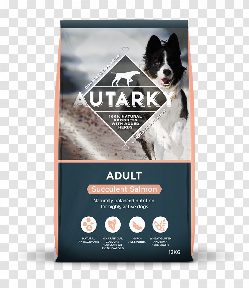 Dog Food Chicken As Meal - Nutrition - Aloe Vera Pulp Transparent PNG