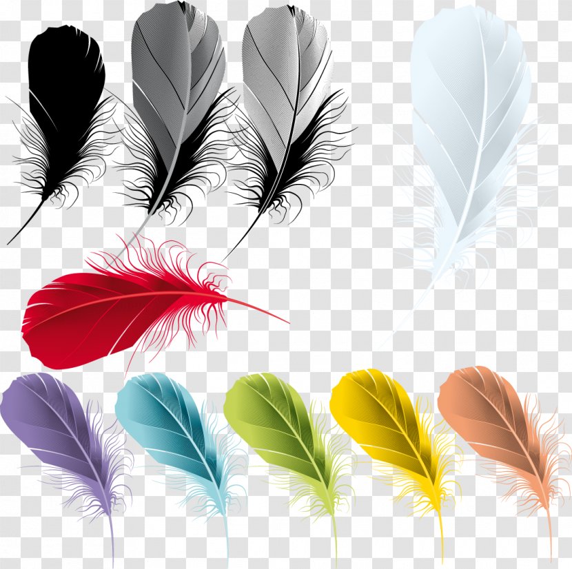 Feather Drawing - Quill - Plums Transparent PNG