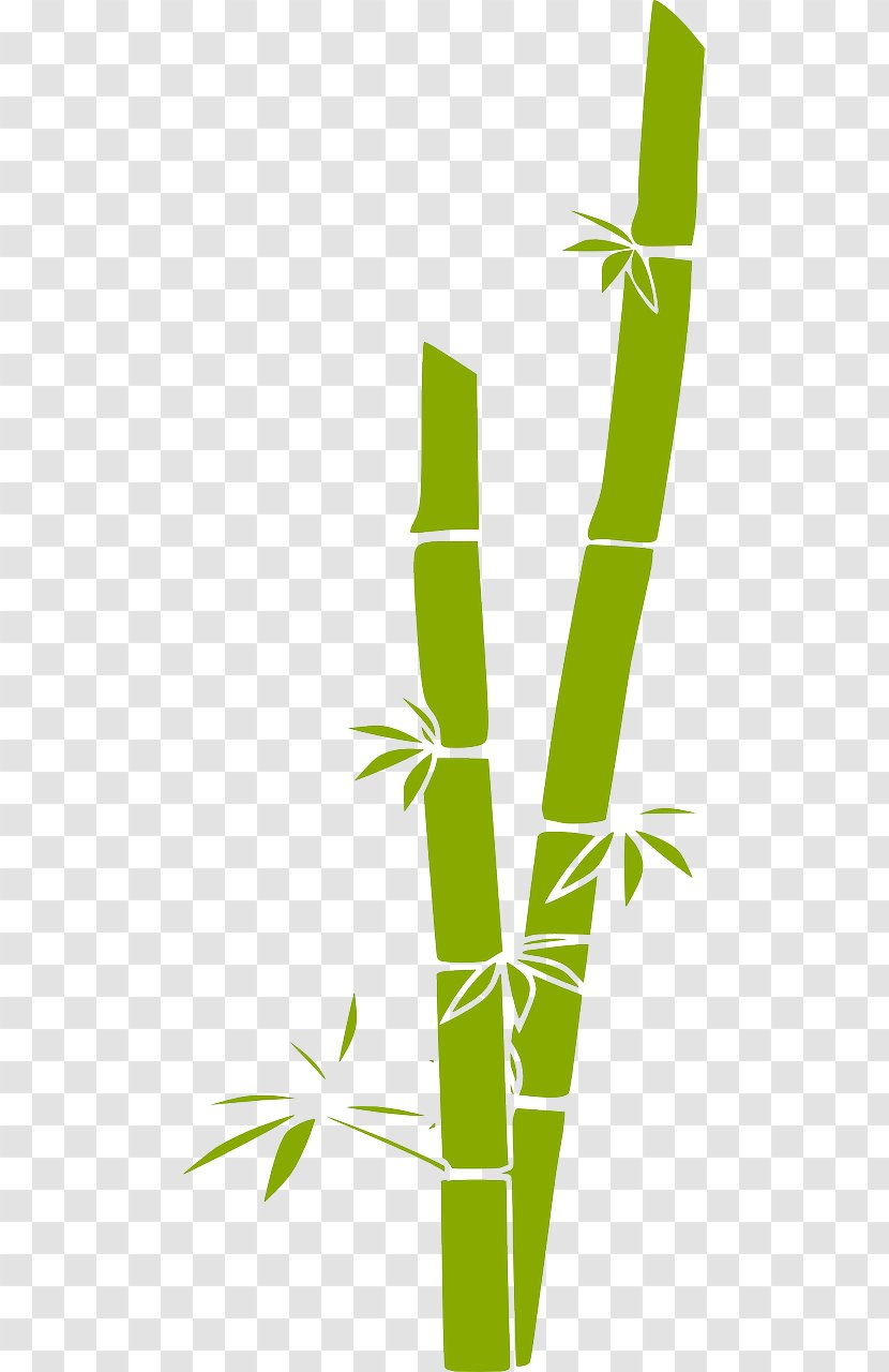 Bamboo Clip Art - Computer Software - Sugar Cane Transparent PNG