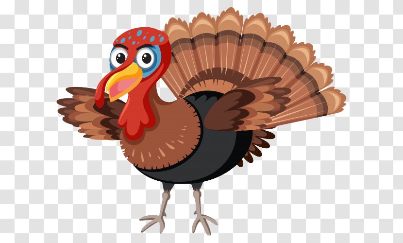 Turkey Thanksgiving Cartoon - Dreamstime - Domesticated Transparent PNG