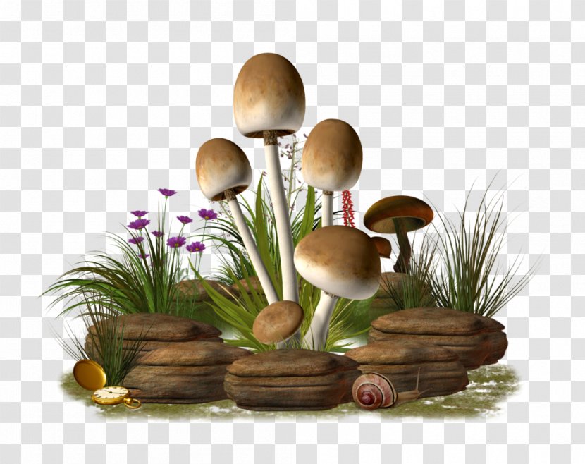 Mushroom Clip Art - Wood - Transparent Image Transparent PNG