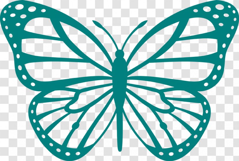 Butterfly Coloring Book Drawing Clip Art - Monochrome Transparent PNG