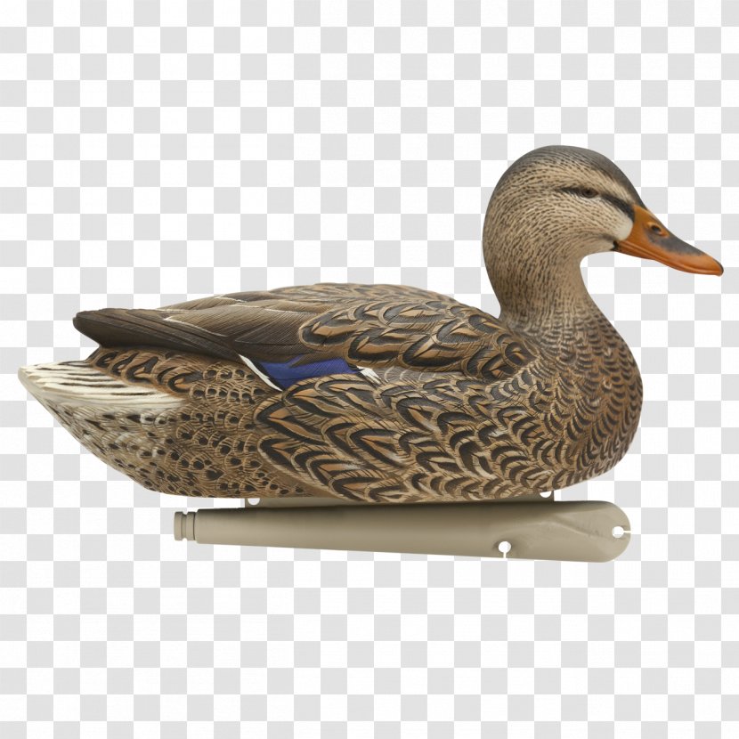 Mallard Duck Decoy Goose Transparent PNG