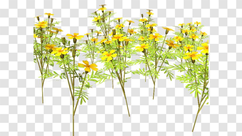 Wildflower Meadow Clip Art - Large Flowers Transparent PNG