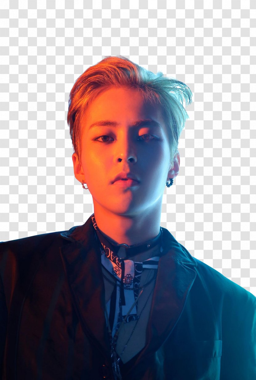 Xiumin EXO Monster Ex'Act Lotto - Tree Transparent PNG
