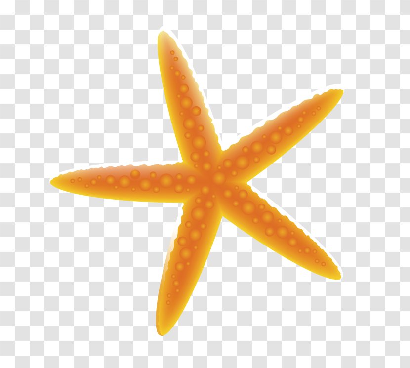 Deep Sea Creature Ocean Color - Orange - Yellow Starfish Transparent PNG