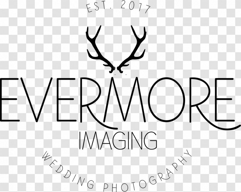 Evermore Imaging Photographer Wedding Photography Light Surrounding You - Frame Transparent PNG
