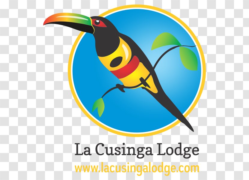 La Cusinga Lodge Uvita Bird Parrot Image - Costa Rica Transparent PNG