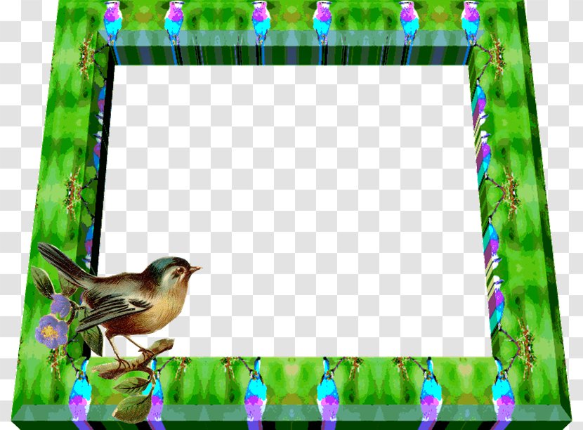 Bird Picture Frames PhotoScape GIMP - Feeders - Aves Transparent PNG